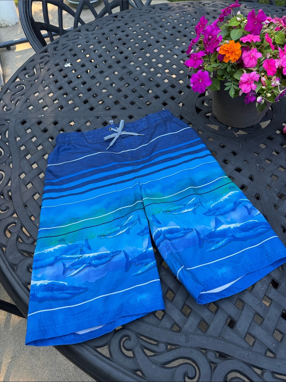 ZeroXposur Boys Blue Striped Shark Print Swim Trunks